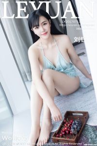 [LeYuan星乐园] 2017.07.13 Vol.045 刘钰儿 [37+1P-120M]