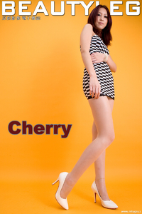 [腿模Beautyleg] No.383 Cherry [31P-17M]