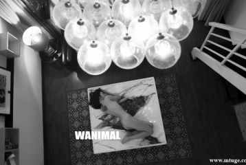 [WANIMAL王动] 第17期 VIP套图 官方出品 [154P-2.05G]